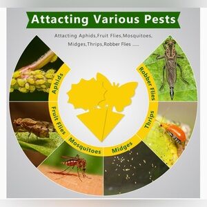 Pest sticky traps